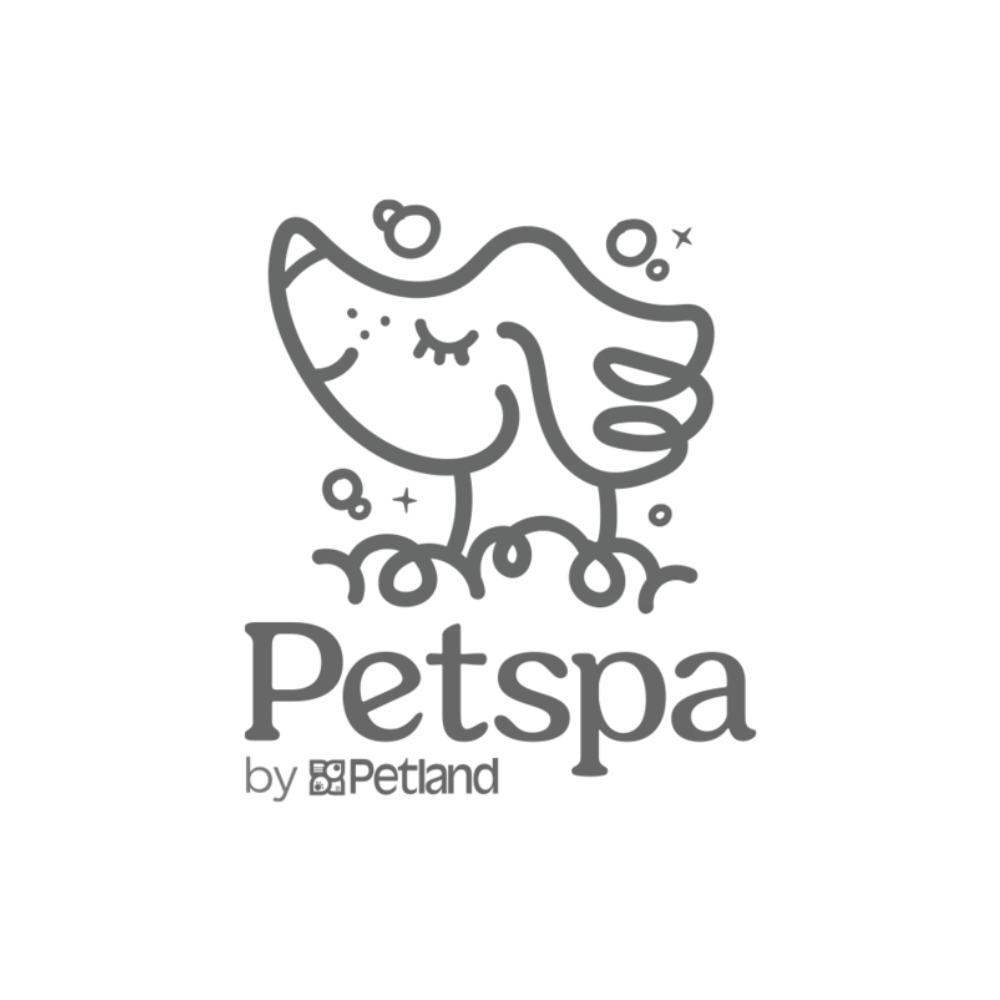 Dandie Dinmont Spaniel inglés